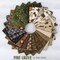 Woodgrain in Burlap (c15937-burlap) | Pine Grove | Riley Blake Designs | Riley Blake